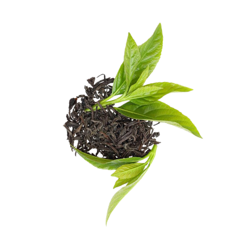 Home Agriculture